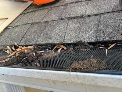 The Gutter Professionals