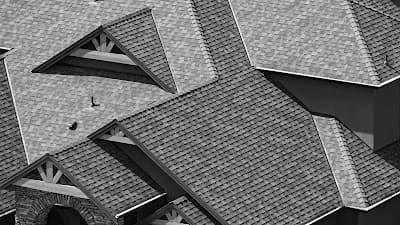 Fitz Roofing